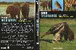 miniatura bbc-wild-series-06-sudamerica-grandes-llanuras-por-pispi cover dvd