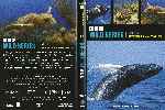 miniatura bbc-wild-series-11-caribe-arrecifes-y-naufragios-por-pispi cover dvd