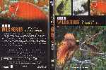 miniatura bbc-wild-series-24-australasia-el-arco-insular-por-pispi cover dvd