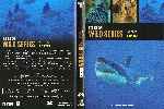 miniatura bbc-wild-series-29-africa-costas-por-pispi cover dvd