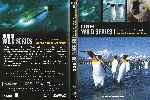 miniatura bbc-wild-series-33-el-mundo-natural-los-pinguinos-de-la-antartida-por-pispi cover dvd