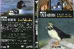 miniatura bbc-wild-series-37-el-mundo-natural-islandia-fuego-y-hielo-por-pispi cover dvd