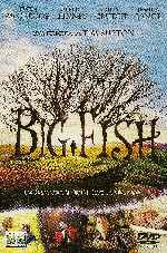 miniatura big-fish-inlay-01-por-tetetete cover dvd