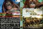 miniatura born-to-be-wild-custom-por-jonander1 cover dvd