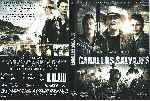 miniatura caballos-salvajes-2015-por-joseluis17 cover dvd