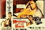 miniatura combate-decisivo-los-esenciales-del-cine-negro-inlay-por-looser-67 cover dvd