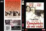 miniatura companero-de-mi-vida-custom-por-lolocapri cover dvd