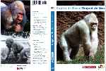 miniatura copito-de-nieve-2002-el-periodico-por-chordi2 cover dvd