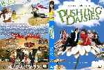 miniatura criando-malvas-pushing-daisies-temporada-02-custom-por-osopolar68 cover dvd
