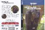 miniatura discovery-channel-gorilas-tiernos-gigantes-por-ice-32 cover dvd
