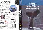miniatura discovery-channel-la-guia-maxima-ballenas-region-1-4-por-alonsodc4 cover dvd