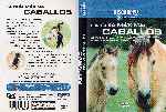 miniatura discovery-channel-la-guia-maxima-caballos-por-regjose cover dvd