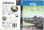 miniatura discovery-channel-la-guia-maxima-cocodrilos-region-1-4-por-humbertorodriguezo cover dvd