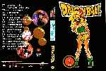 miniatura dragon-ball-volumen-05-custom-por-lynx-dil-ramunsen cover dvd