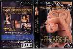 miniatura el-gran-hermano-xxx-por-lavoisiere cover dvd