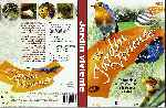 miniatura el-jardin-viviente-custom-por-raforafito cover dvd