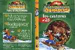 miniatura el-maravilloso-mundo-de-los-animales-volumen-25-los-castores-por-mastercustom cover dvd