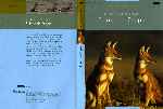miniatura el-planeta-vivo-el-reino-animal-07-por-solonely cover dvd