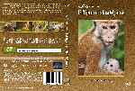 miniatura el-reino-de-los-monos-2015-monkey-kingdom-region-1-4-por-lolocapri cover dvd
