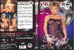miniatura fallen-angel-xxx-por-nampazampa cover dvd