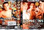 miniatura garcons-a-tout-faire-xxx-por-picki cover dvd
