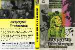 miniatura juventud-a-la-intemperie-custom-por-josemartinal cover dvd