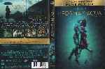 miniatura la-forma-del-agua-region-4-por-serantvillanueva cover dvd