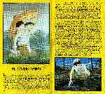 miniatura la-tumba-de-las-luciernagas-edicion-deluxe-20-aniversario-inlay-04-por-werther1967 cover dvd