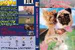 miniatura las-aventuras-de-chatran-custom-por-dina22 cover dvd