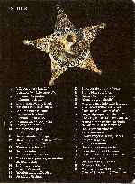 miniatura lone-star-inlay-por-flaj cover dvd
