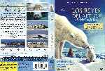 miniatura los-reyes-del-artico-por-sergysamgar cover dvd