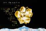 miniatura magnolia-1999-edicion-especial-2-discos-inlay-por-scarlata cover dvd