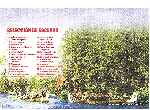 miniatura mas-barato-por-docena-2-inlay-por-el-neto-c cover dvd