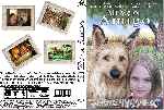 miniatura mi-mejor-amigo-2005-custom-por-tiroloco cover dvd