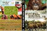miniatura nacido-para-ser-salvaje-custom-por-davichooxd cover dvd