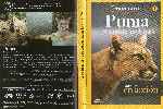 miniatura national-geographic-animales-en-accion-02-puma-el-leon-de-los-andes-por-tonymontana1978 cover dvd