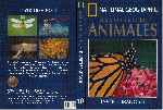 miniatura national-geographic-enciclopedia-de-los-animales-volumen-10-por-kenida cover dvd
