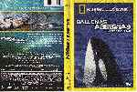 miniatura national-geogrphic-ballenas-asesinas-region-4-por-teacanto cover dvd