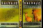 miniatura naturaleza-salvaje-la-lucha-por-la-vida-volumen-02-por-nampazampa cover dvd