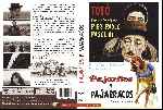 miniatura pajaritos-y-pajarracos-por-mackintosh cover dvd