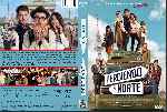 miniatura perdiendo-el-norte-custom-por-jonander1 cover dvd