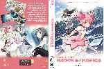 miniatura puella-magi-madoka-magica-custom-por-lolocapri cover dvd