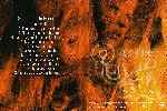 miniatura re-cycle-inlay-por-like-a-virgin70 cover dvd