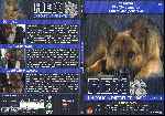 miniatura rex-un-policia-diferente-temporada-04-disco-05-por-beatrizvero cover dvd