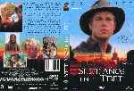 miniatura siete-anos-en-el-tibet-por-manmerino cover dvd
