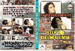miniatura soy-un-delincuente-parte-ii-custom-por-cargeen cover dvd