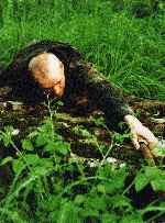 miniatura stalker-1979-coleccion-andrei-tarkovsky-edicion-especial-inlay-01-por-like-a-virgin70 cover dvd