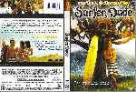 miniatura surfer-dude-custom-v2-por-jrc cover dvd