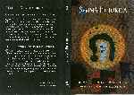 miniatura svmma-pictorica-volumen-10-de-las-vanguardias-a-la-postmodernidad-por-jaal cover dvd