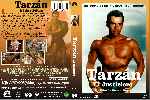 miniatura tarzan-el-justiciero-custom-v2-por-jhongilmon cover dvd